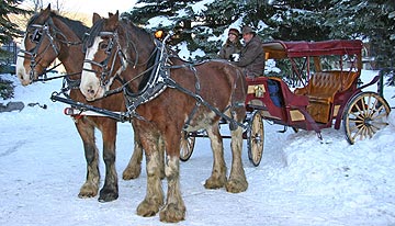 A horse-drawn carriage in a snowy setting, with a Go-Blanket rolled up and ready for action.